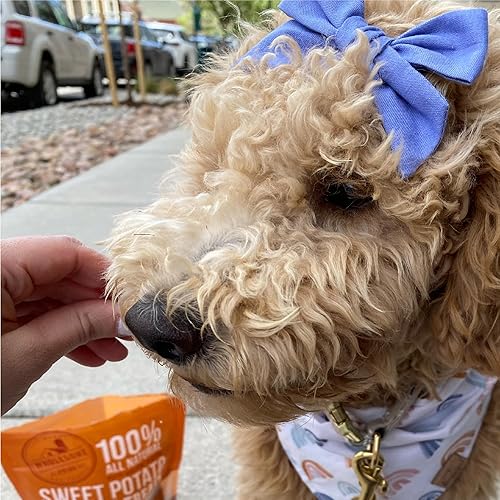 Vista 15 de Wholesome Pride - Caprichos de batata – premios naturales para perros – veganos, sin gluten y sin granos