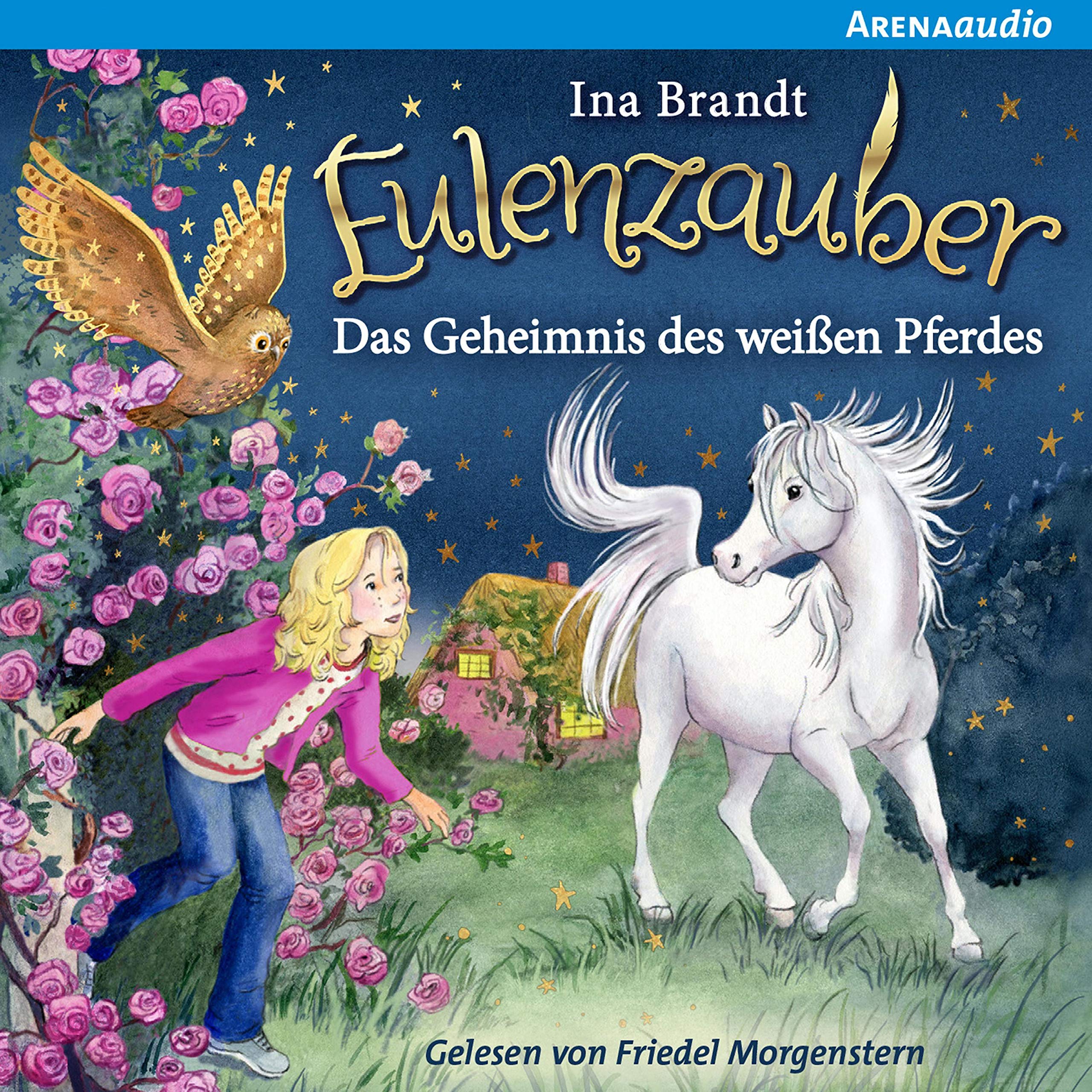 Cover art for Das Geheimnis des weißen Pferdes