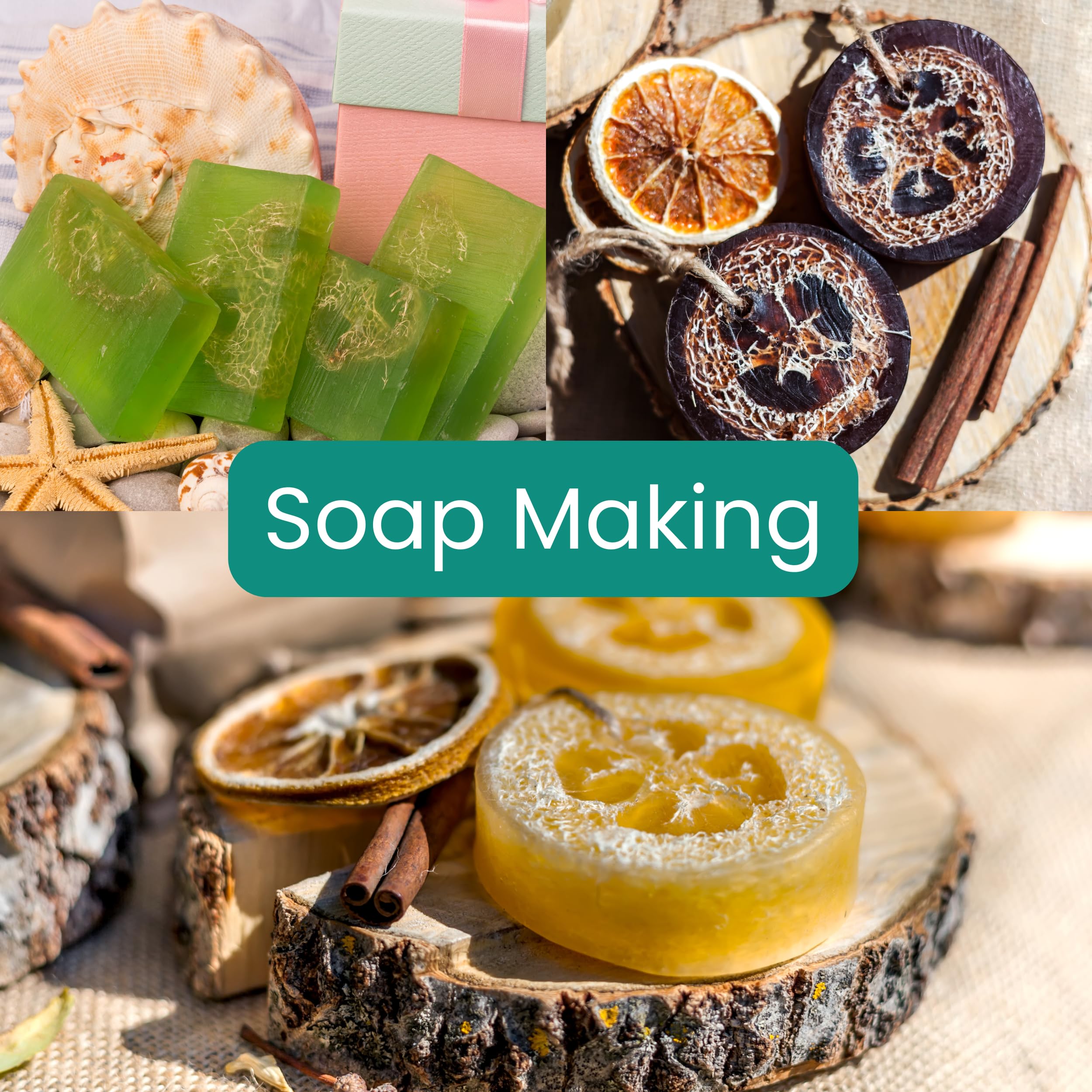 10 esponjas exfoliantes corporales (7-10 pulgadas) de lufa para ducha | Esponja natural de lufa | Baño para hombres y mujeres | Paquete de 10