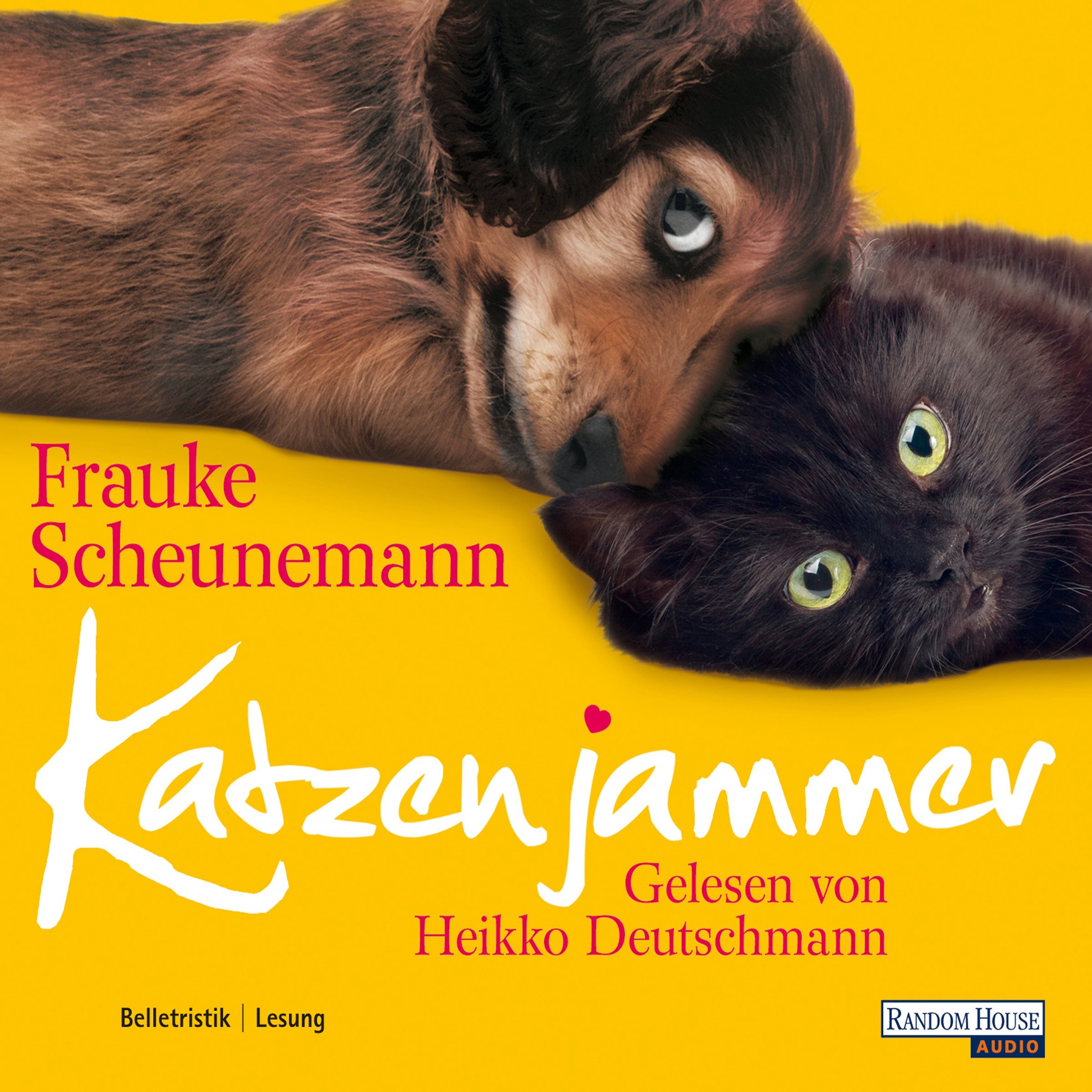 Cover art for Katzenjammer