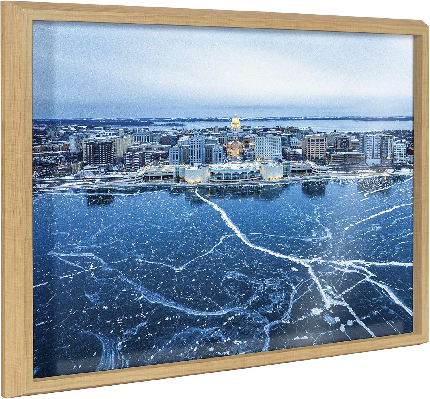 Kate and Laurel Blake Icy Veins of Winter-Madison Wisconsin Framed Printed Glass Wall Art by Pete Olsen, 18x24 Natural, Decorative Nature Art Wall Décor