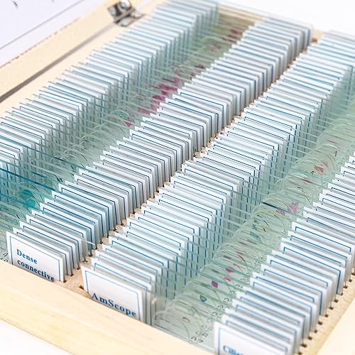 Miniatura 12 de AmScope PS100E - Juego de diapositivas preparadas para biología básica para estudiantes y uso en casa, juego de 100 toboganes de vidrio preparados