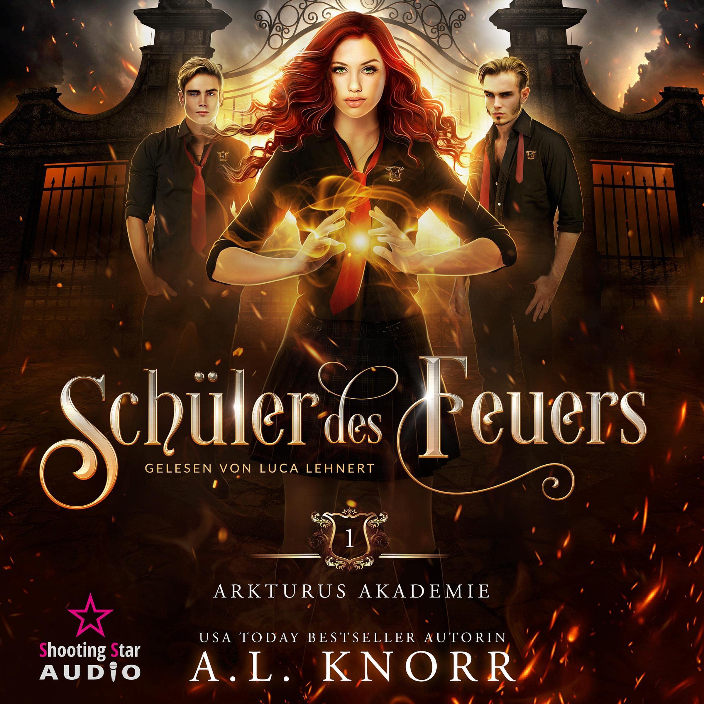 Cover art for Schüler des Feuers