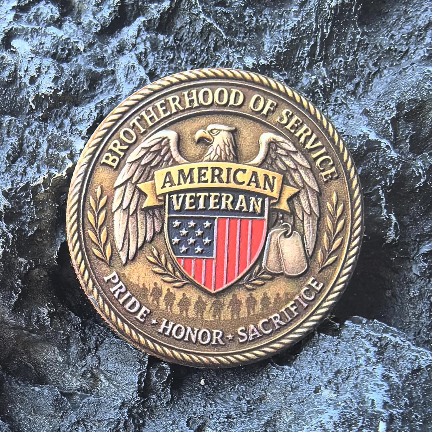 US Veteran Challenge Coin – DD-214 & Brotherhood of Service Design, It's a Veteran Thing Patriotic Metal Token with Protective Case