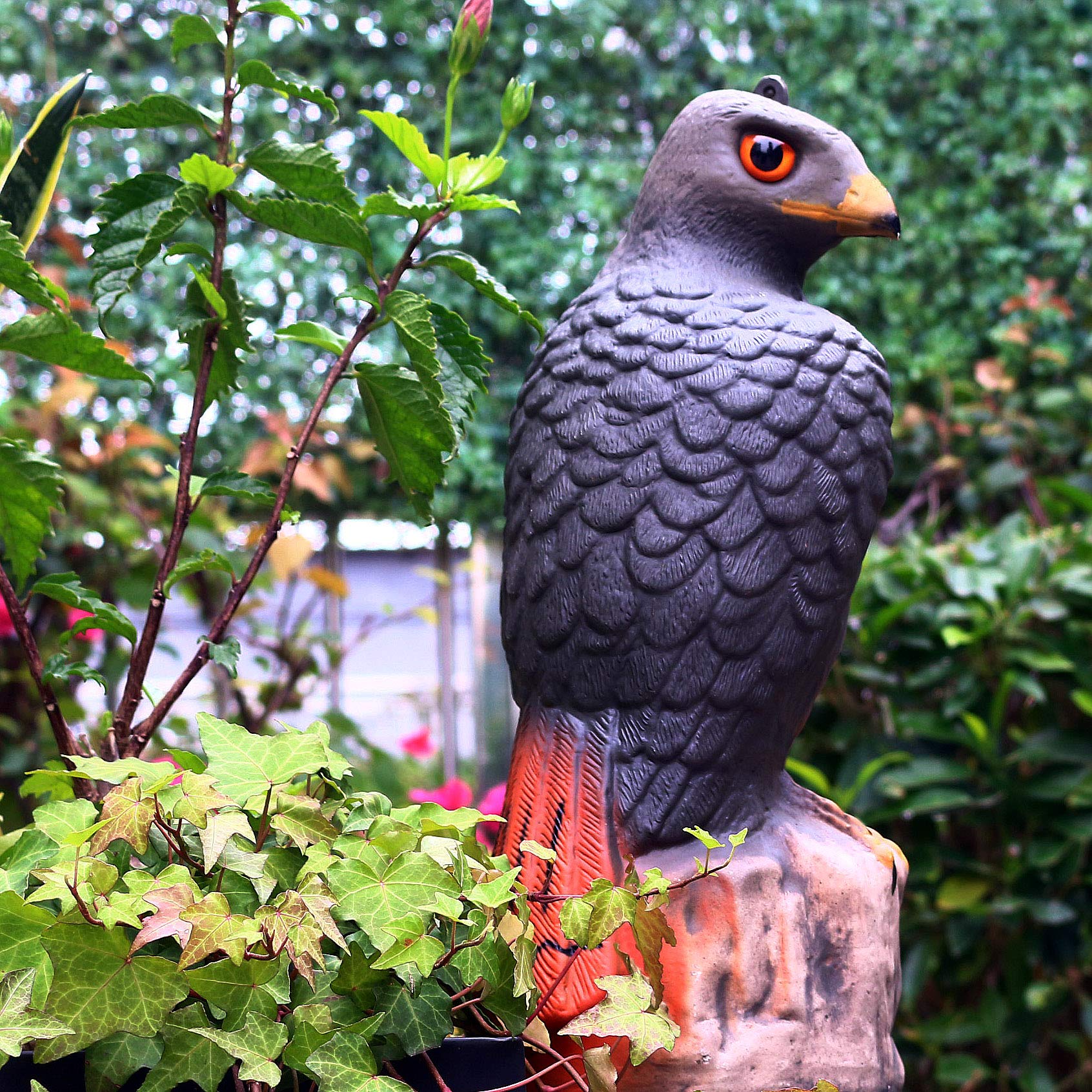Vogelabwehr Falke | Preisvergleich Bei