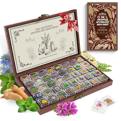 LUSH&DEW Medicinal Herb Gardening Gifts for Herbalists, Apothecary Seed Chest, 40 Varieties 36,000+ Non-GMO Heirloom Seeds for Planting Herbs in Raised Bed Windowsill, Survival Seed Kit for Herbal Tea