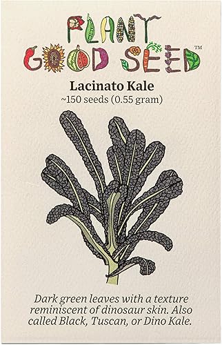 Miniatura 8 de Black Magic Lacinato - Semillas de col rizada, paquete de 150, sin OMG, polinizadas abiertas, sin tratar, semillas vegetales para plantar, de