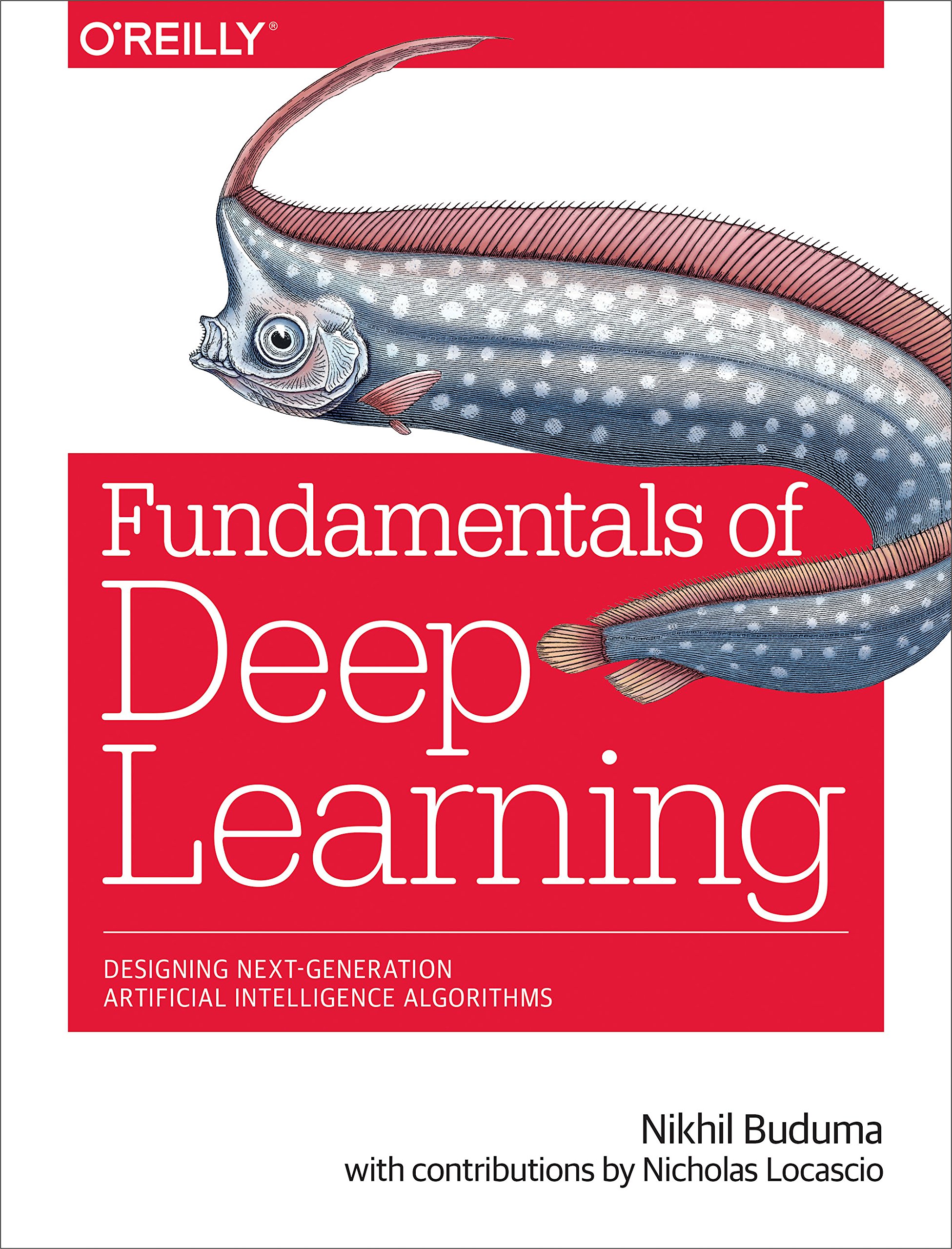 Fundamentals of Deep Learning: Designing Next-Generation Machine ...