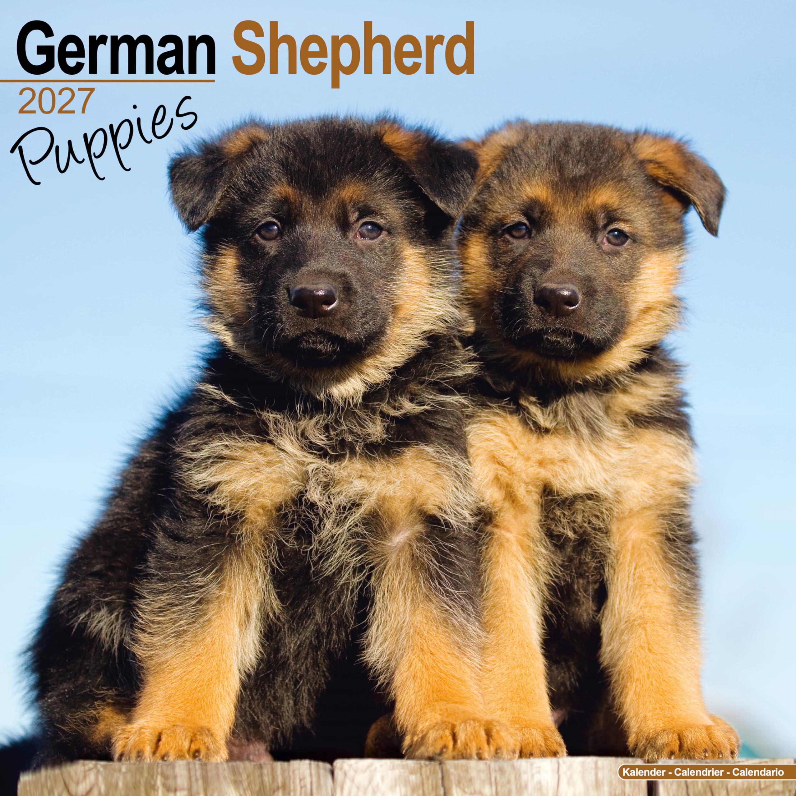 German Shepherd Puppies Calendar 2027, Wall Calendars, Month To View, Dogs, Gift