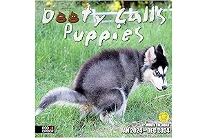 2023 Yankees Calendar