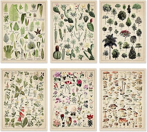 Fainne Juego de 6 pósteres de plantas vintage botánicas de 12 x 16 pulgadas de lino, póster decorativo de árbol, imagen de árbol vintage, hongos
