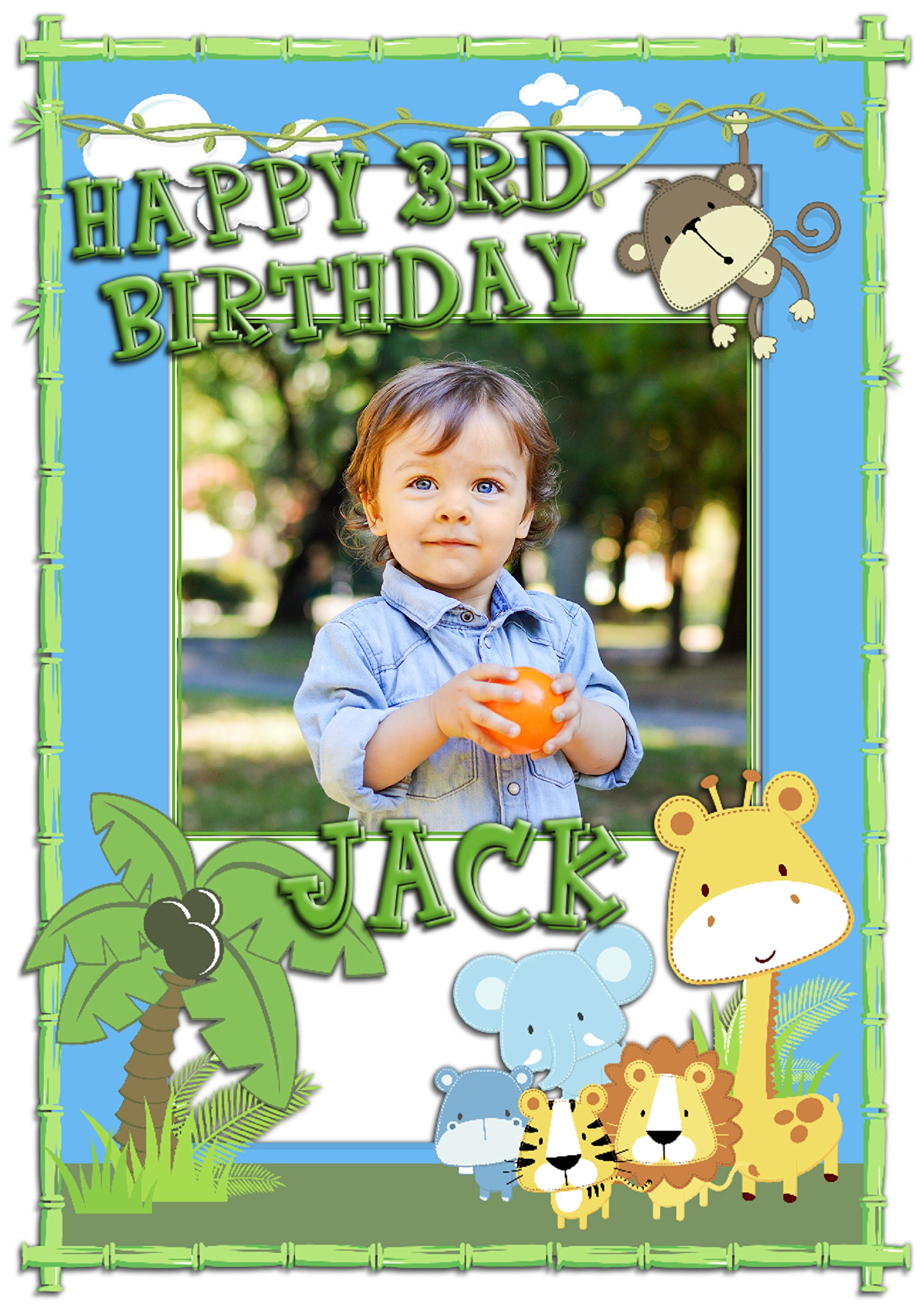 The Personalised Party Company Boys Green Personalised Girls Jungle Animals Happy Birthday Party Poster Banner N52 - Any Age 1St 2Nd 3Rd 4Th 5Th 6Th 7Th (A1 (59.4Cm X 84.1Cm))