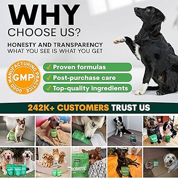 Amazon.co.jp: 犬用 プロバイオティック 消化器ケア