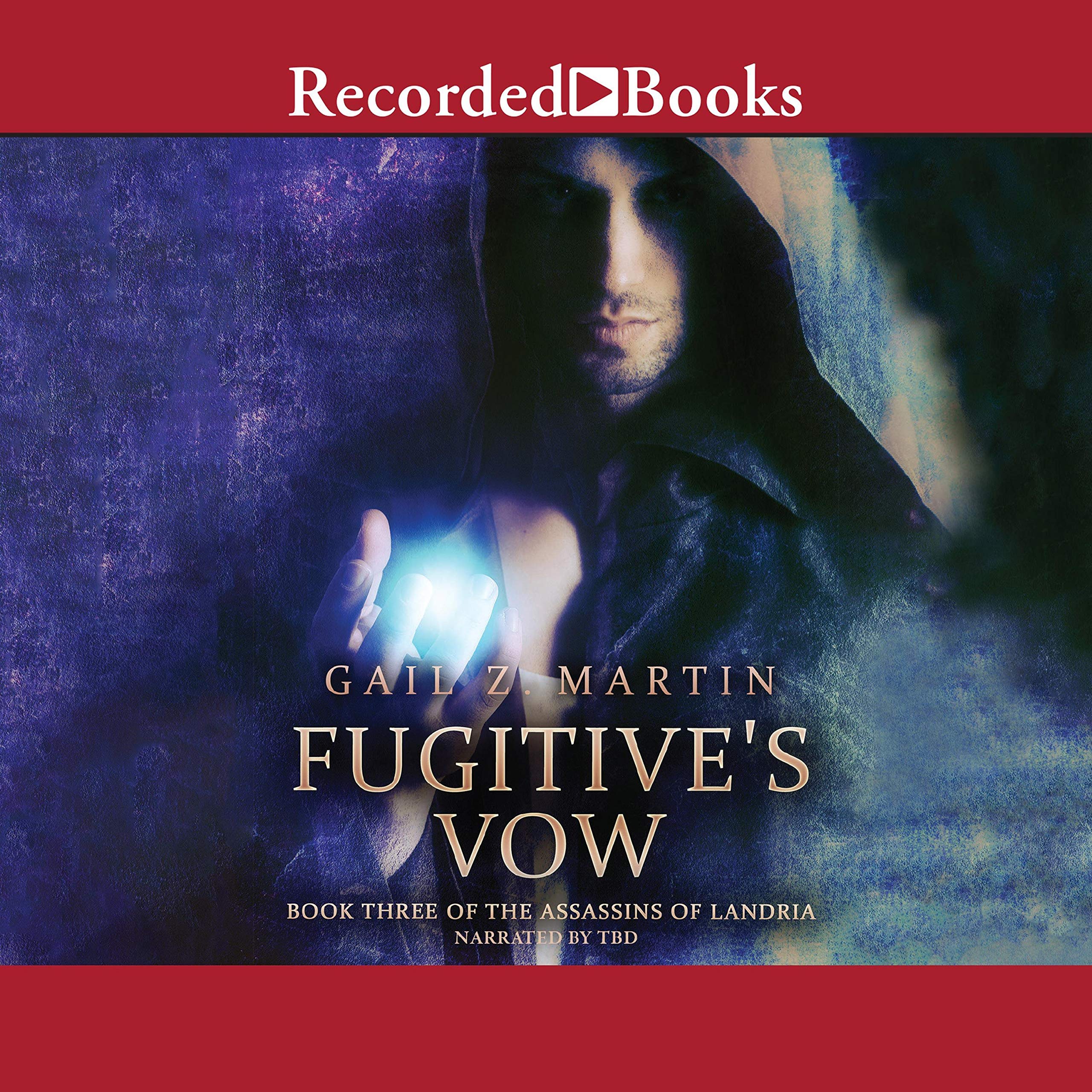 Cover art for Fugitive's Vow