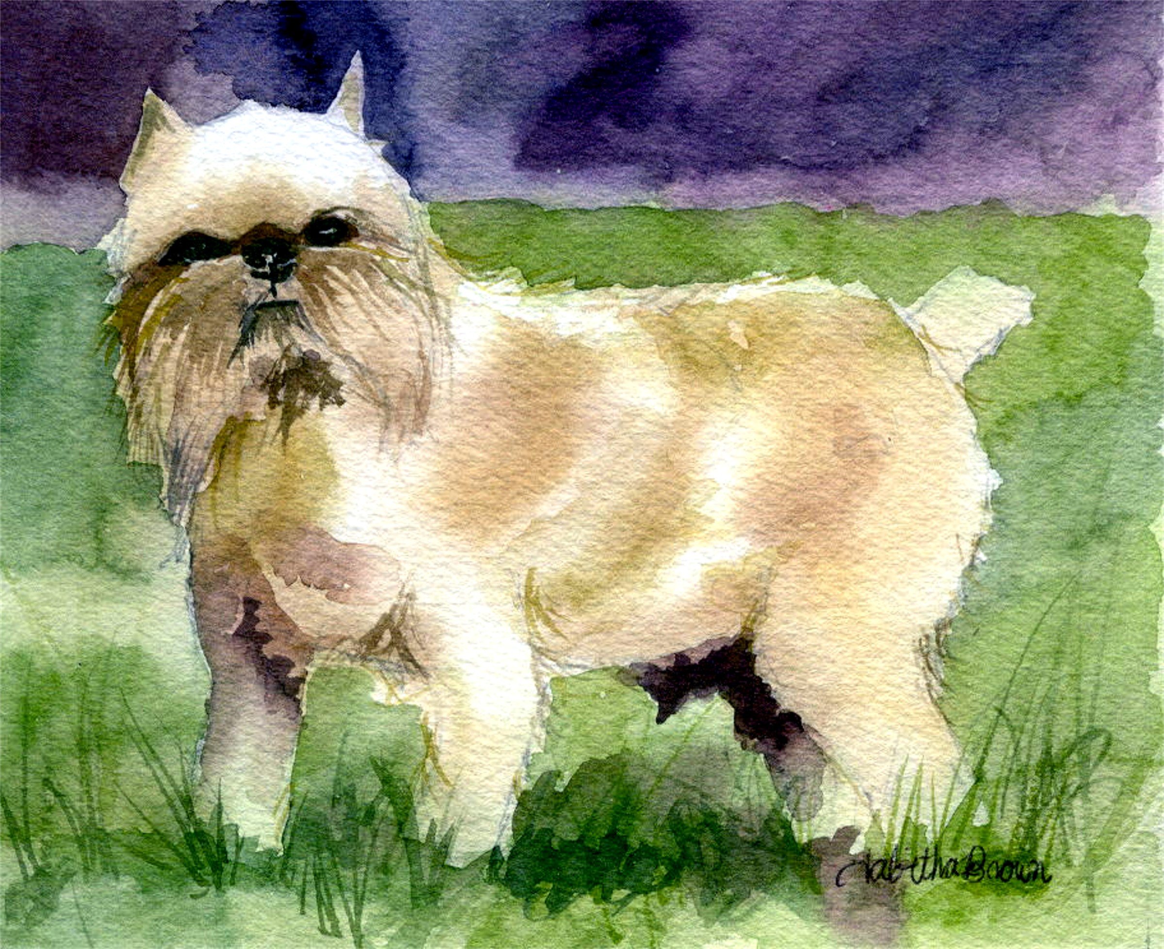 Brussels Griffon Dog Portrait Matted Art Print - 5 in x 7 in Design - 8 in x 10 in Matted