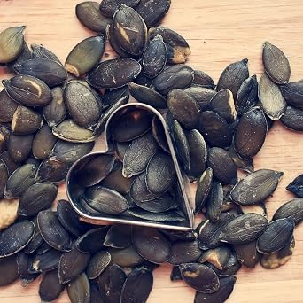 Lark Ellen Farm Sprouted Organic Pumpkin Seeds, Unsalted Raw Pumpkin Seeds Organic, Pepitas, Vegan, Non GMO, Gluten Free, Paleo, and Keto Friendly (14 oz, 3 Pack) | Crunchy unsalted sprouted pepitas great for snacking, salads, and trail mix, USDA Organic, Non-GMO, Vegan, and Gluten-Free.