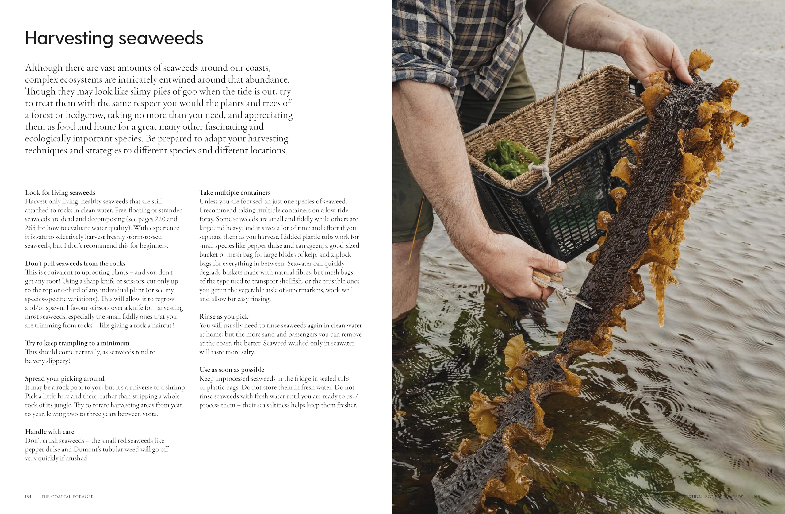 The Coastal Forager: Wild maritime food to preserve, cook, eat