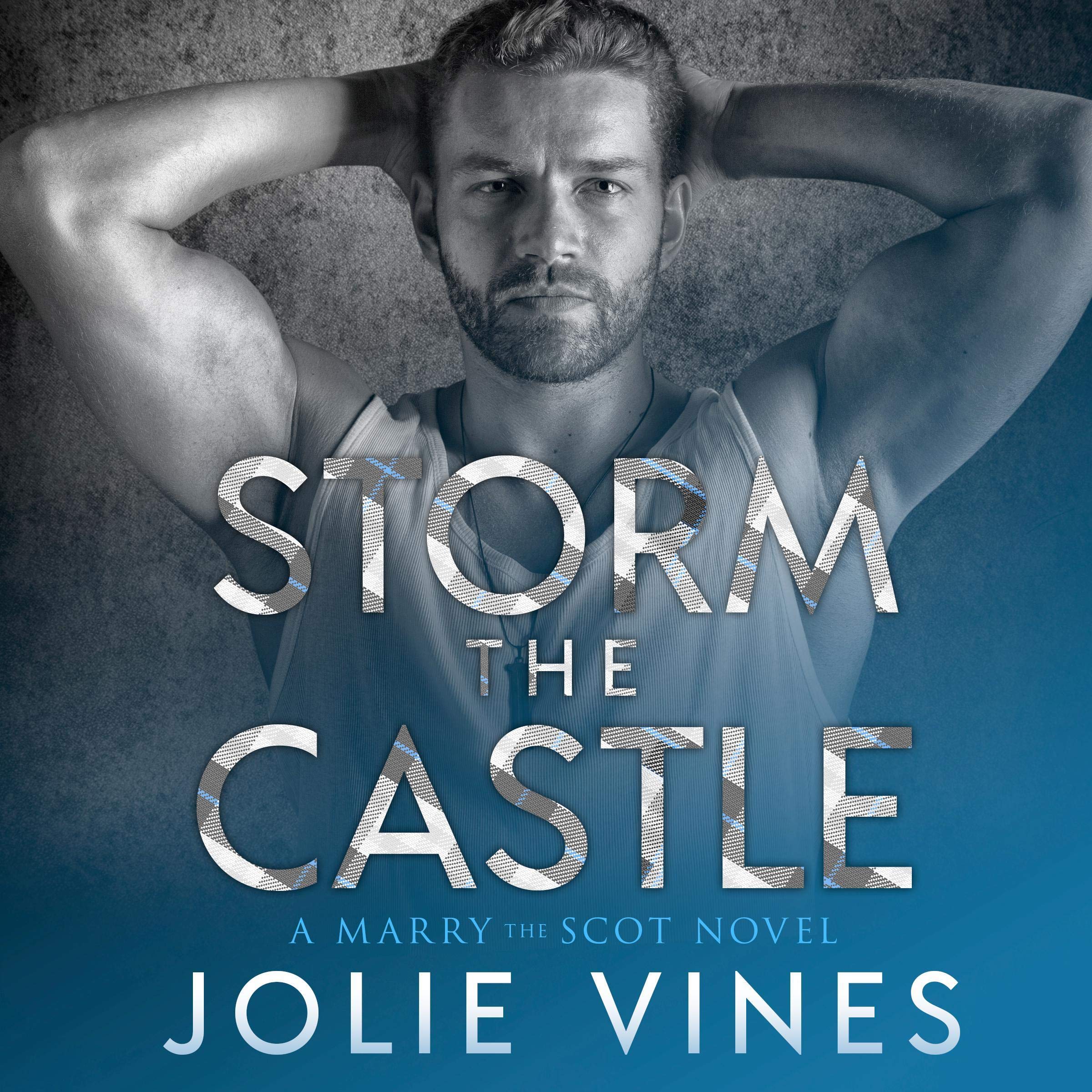 Cover art for Storm the Castle
