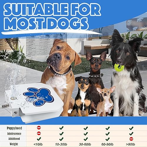 Miniatura 7 de BACOENG Fuente de agua para perros, rociador de mascotas al aire libre para perros, juguete de agua potable activado con patas, juego de válvulas de