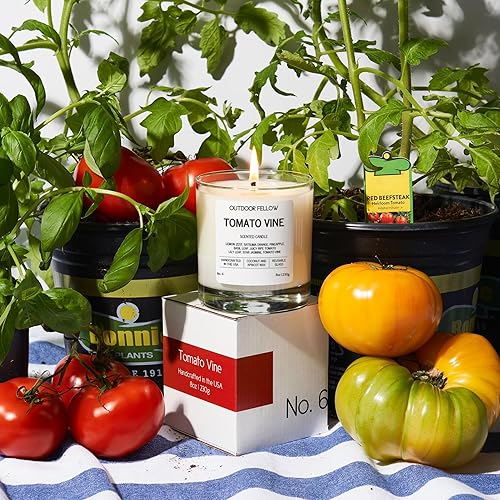 Miniatura 4 de Outdoor Fellow Vela perfumada de vid de tomate Mezcla de cera de coco de 8 onzas Fuerte aroma Inspirada en plantas de tomate en el patio trasero