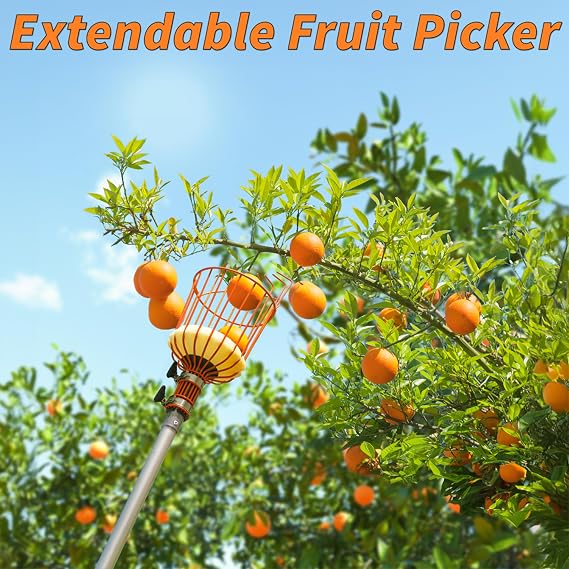 EXTEND-A-REACH 5-24 ft Telescoping Fruit Picker Pole with Basket