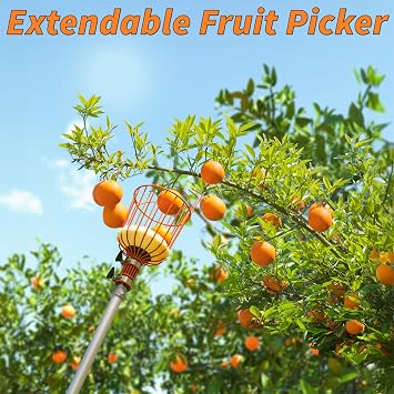 EXTEND-A-REACH 5-24 ft Telescoping Fruit Picker Pole with Basket