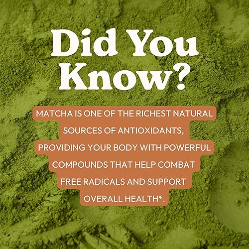 Miniatura 7 de Matcha de hongos con colágeno  Matcha adaptogénico para energía, concentración y claridad mental  Mejorado con melena de león, chaga, cordyceps y