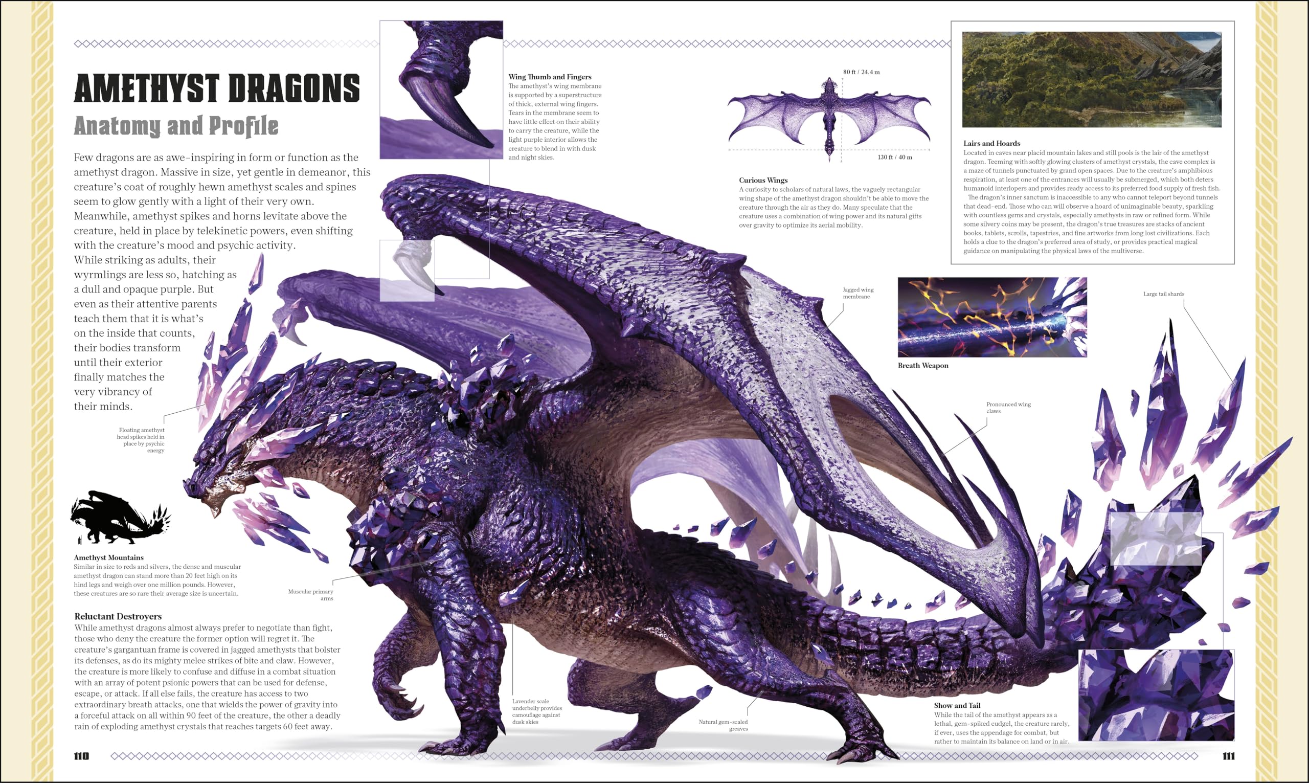 Dungeons & Dragons The Book of Dragons