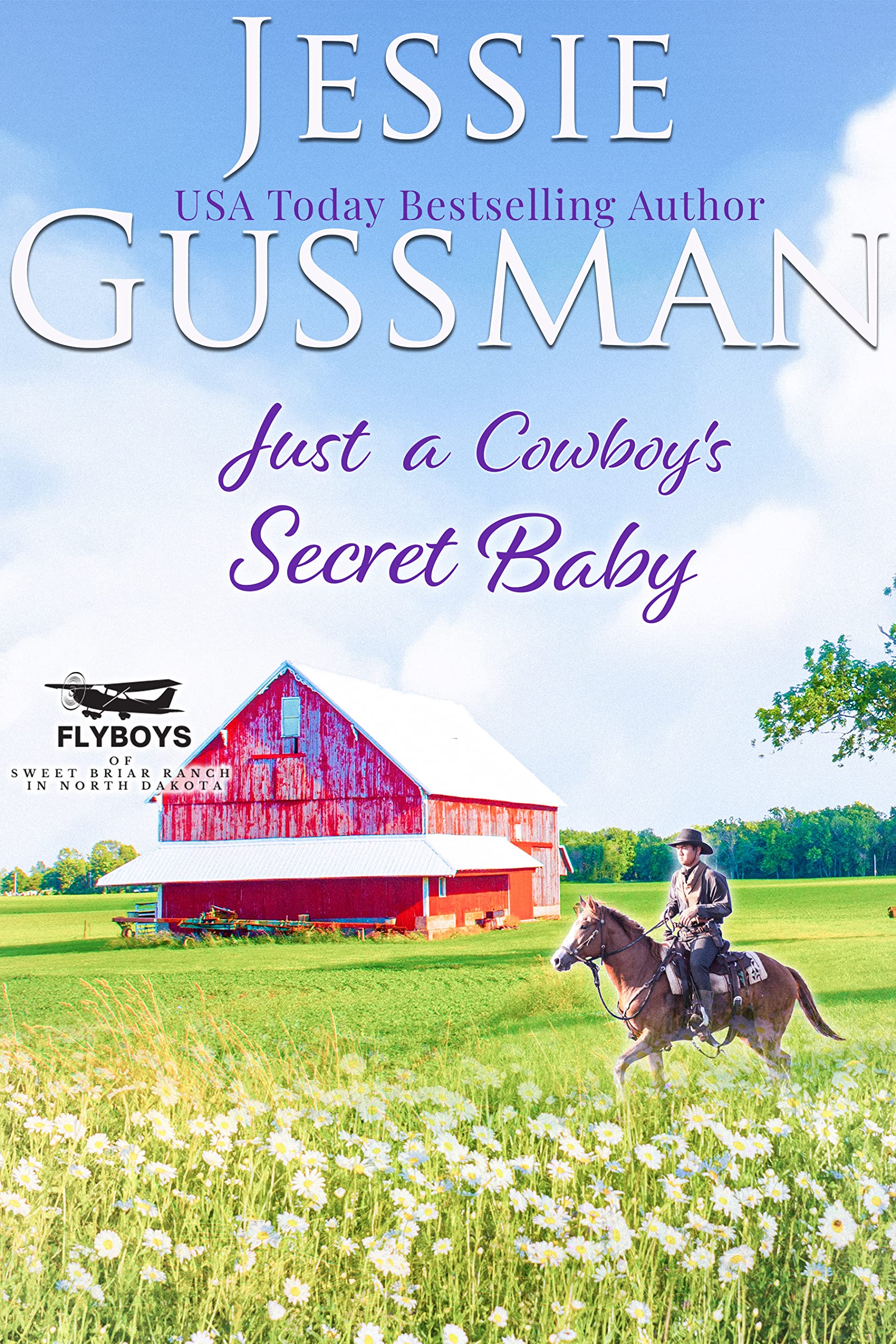 Just a Cowboy's Secret Baby (Sweet western Christian romance book 6) (Flyboys of Sweet Briar Ranch in North Dakota)