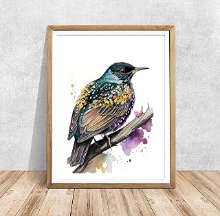 Starling Bird Print Art, Common Painting Wall American Poster Starling Bird Poster Decor, Common Photo Wall American Print,99
