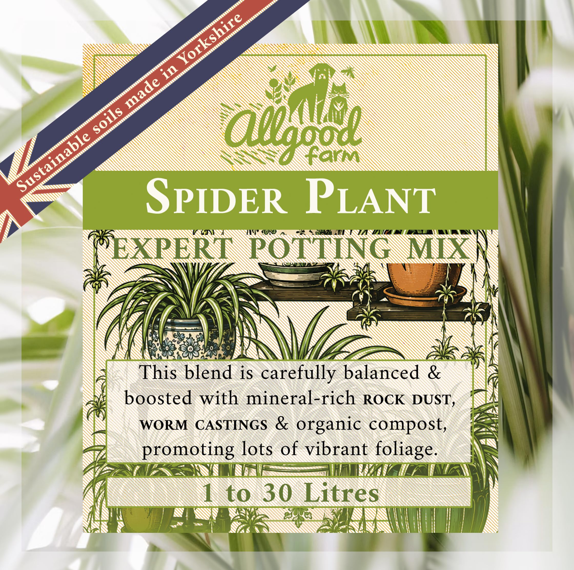 Allgood Farm Spider Plant Soil - Expert Potting Compost Mix (10 Litres)