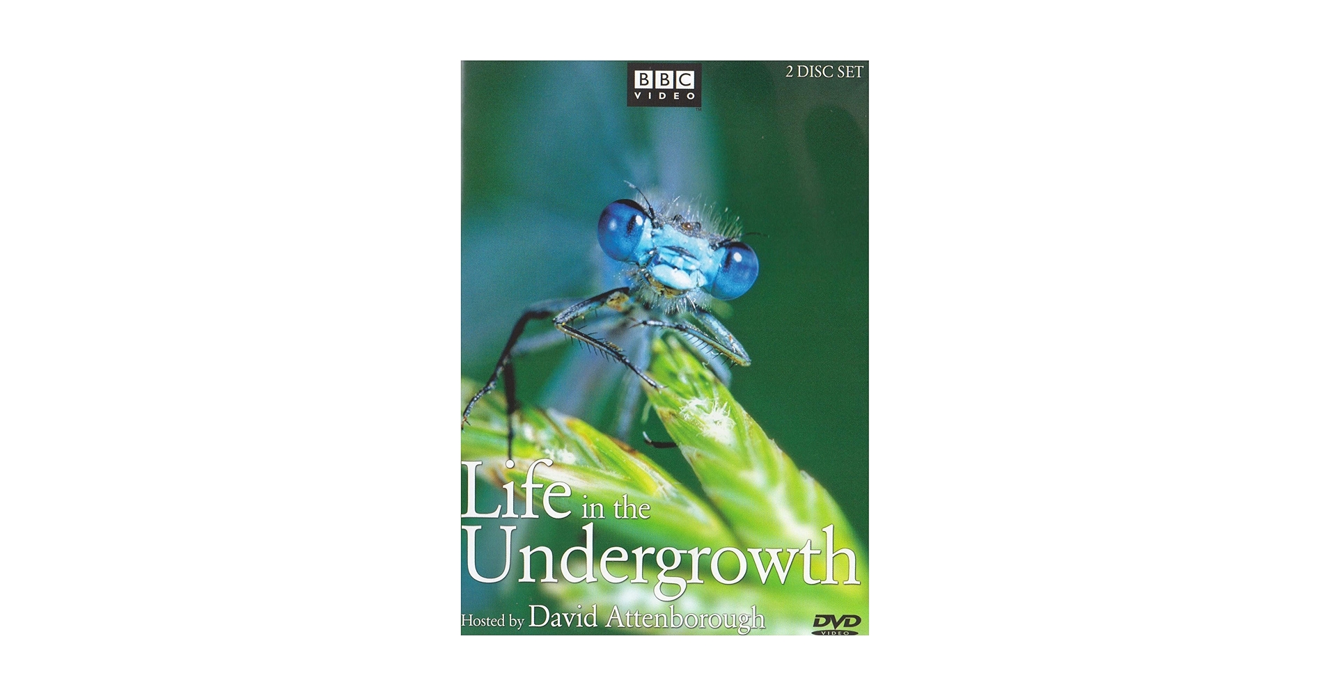 Life in the Undergrowth DVD 5枚セット Amazon.com: Life in the Undergrowth (Dbl DVD) (WS) : Various