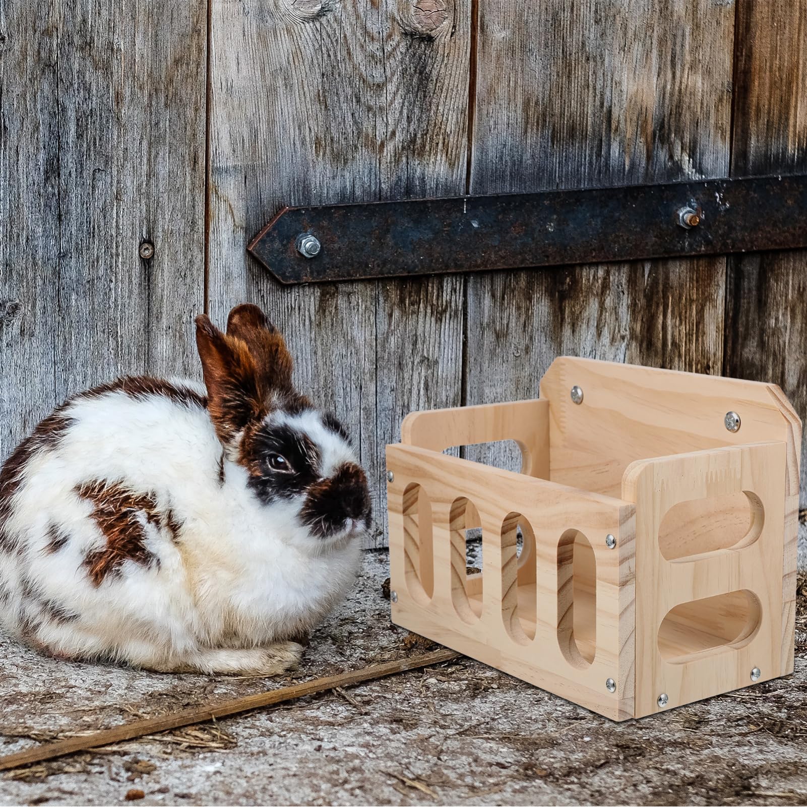 Happyyami Alimentador De Heno para Conejos Y Animales Pequeños Comedero De Heno para Jaula Contenedor De Fácil De Instalar para Hámster Chinchilla Y Conejillo De Indias 9.25X6.69X5.31In