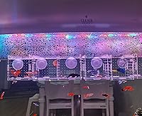 Vista 3 de Caja de cría de peces acrílico, caja de aislamiento de peces acrílico, separador de peces para acuario, incubadora de vivero con ventosas para peces