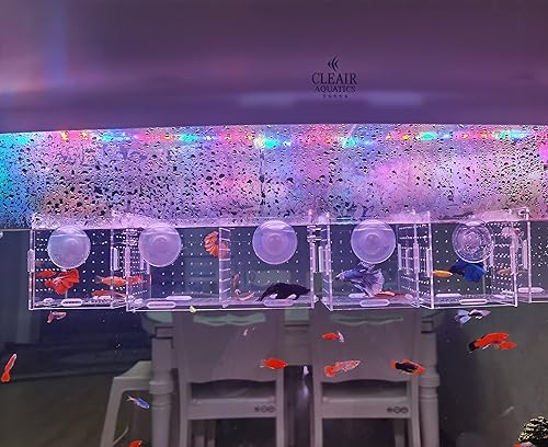 Miniatura 3 de Caja de cría de peces acrílico, caja de aislamiento de peces acrílico, separador de peces para acuario, incubadora de vivero con ventosas para peces