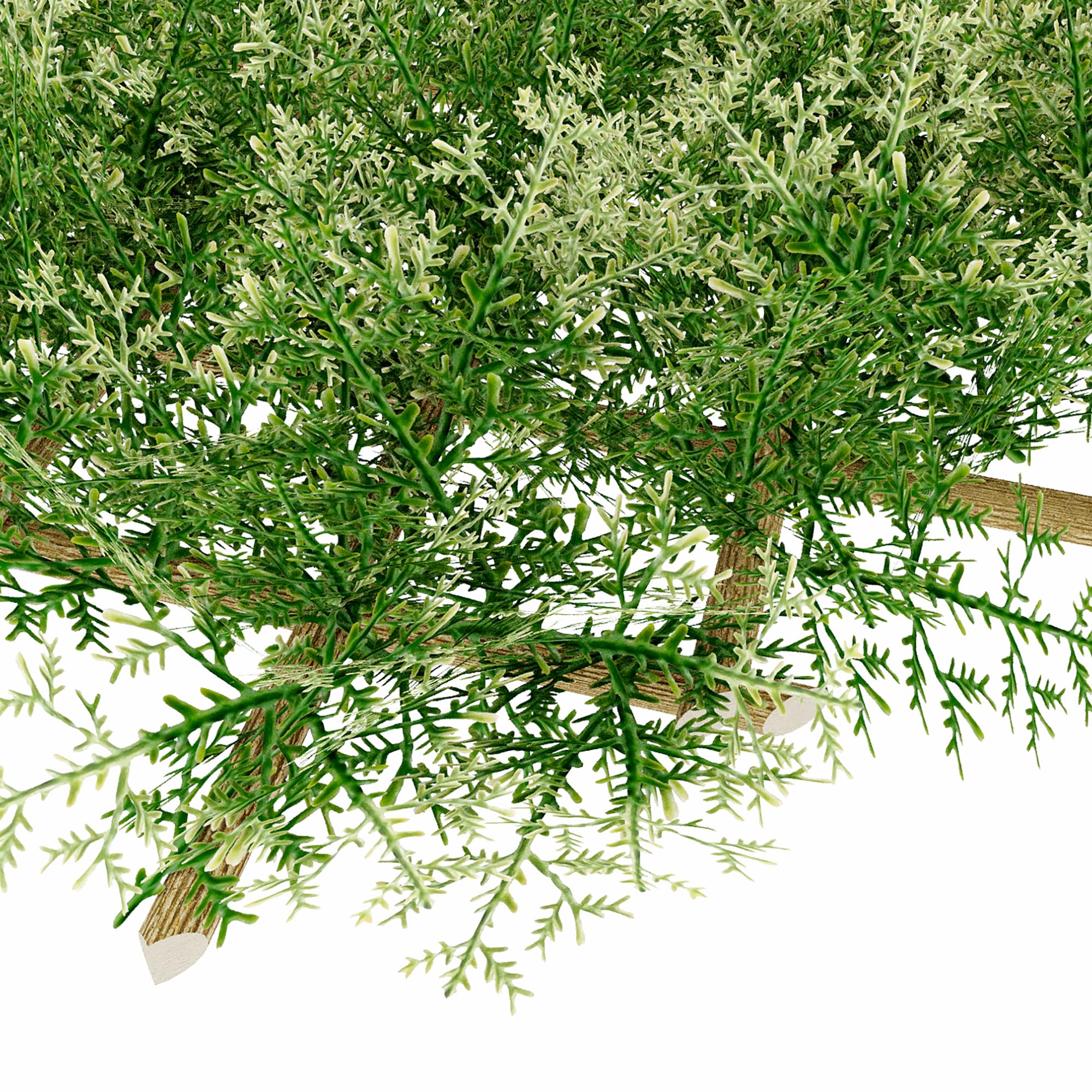 TENAX Siepe Artificiale con Foglie Traliccio Estensibile in salice, Divy 3D X-Tens Cyprus, 1x2 m, Verde/Bianco
