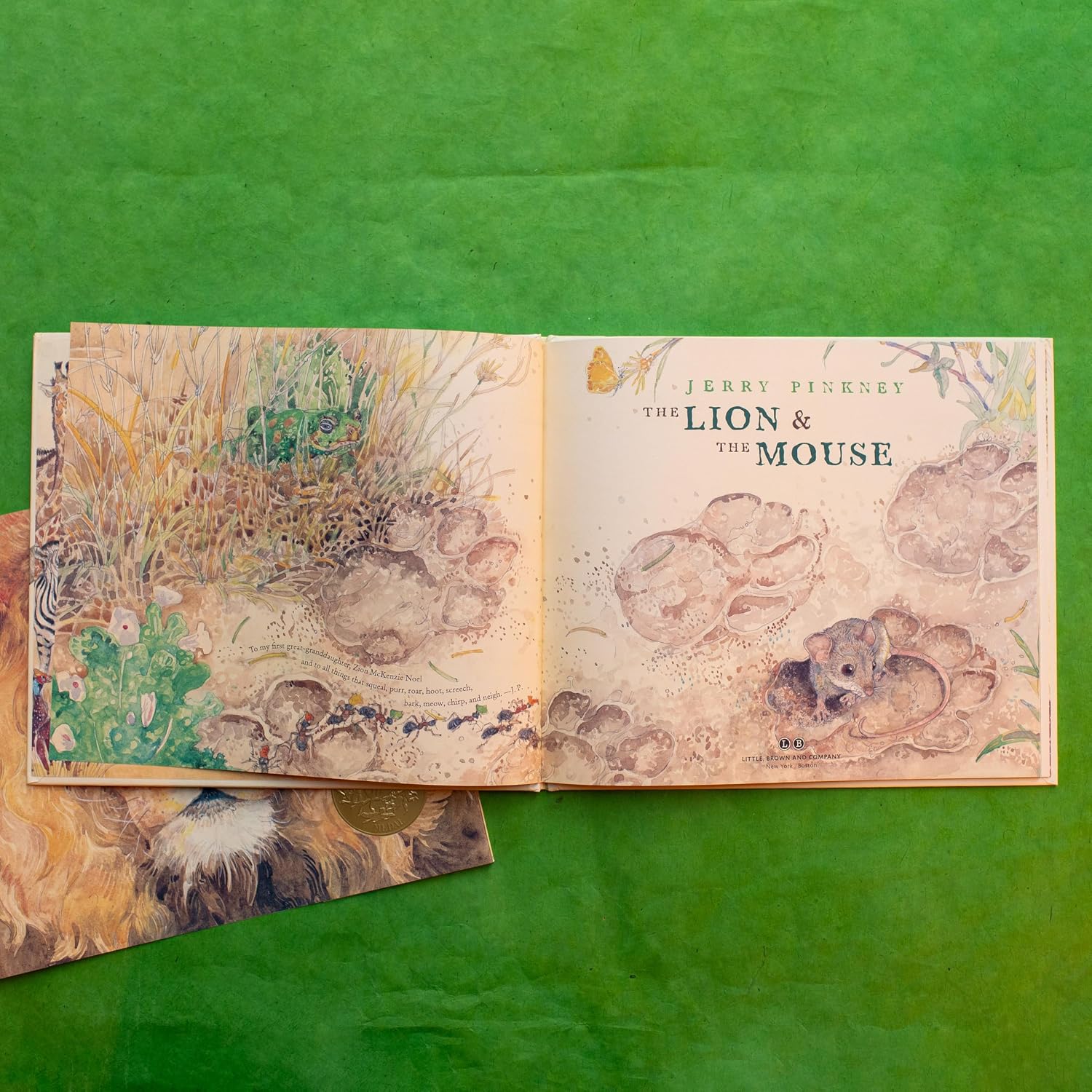 The Lion & the Mouse (Caldecott Medal Winner) image 5