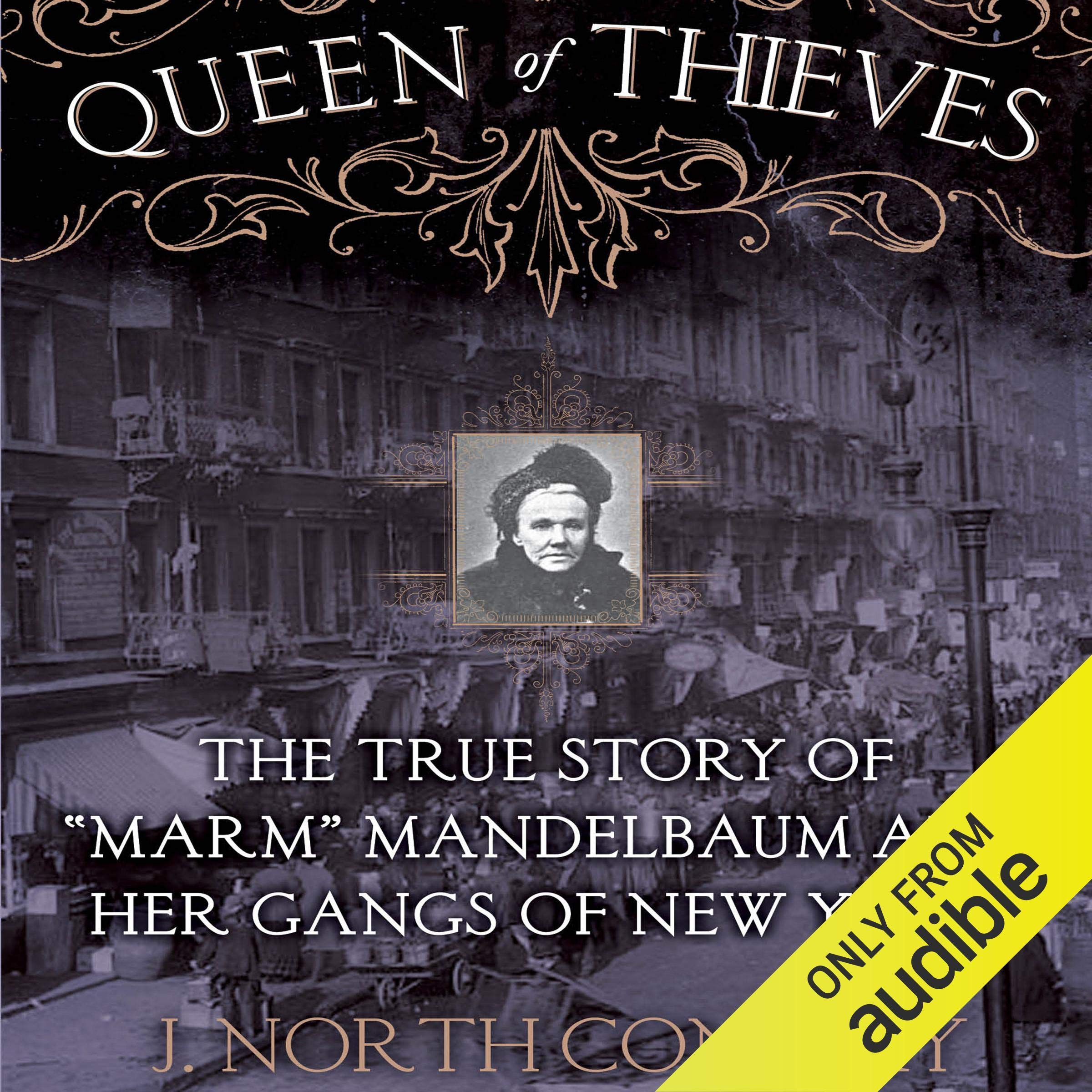 Cover art for Queen of Thieves
