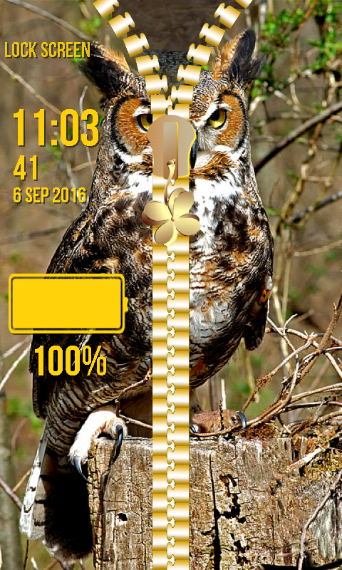 Owl Zipper Lock Screen:Amazon.com:Appstore for Android