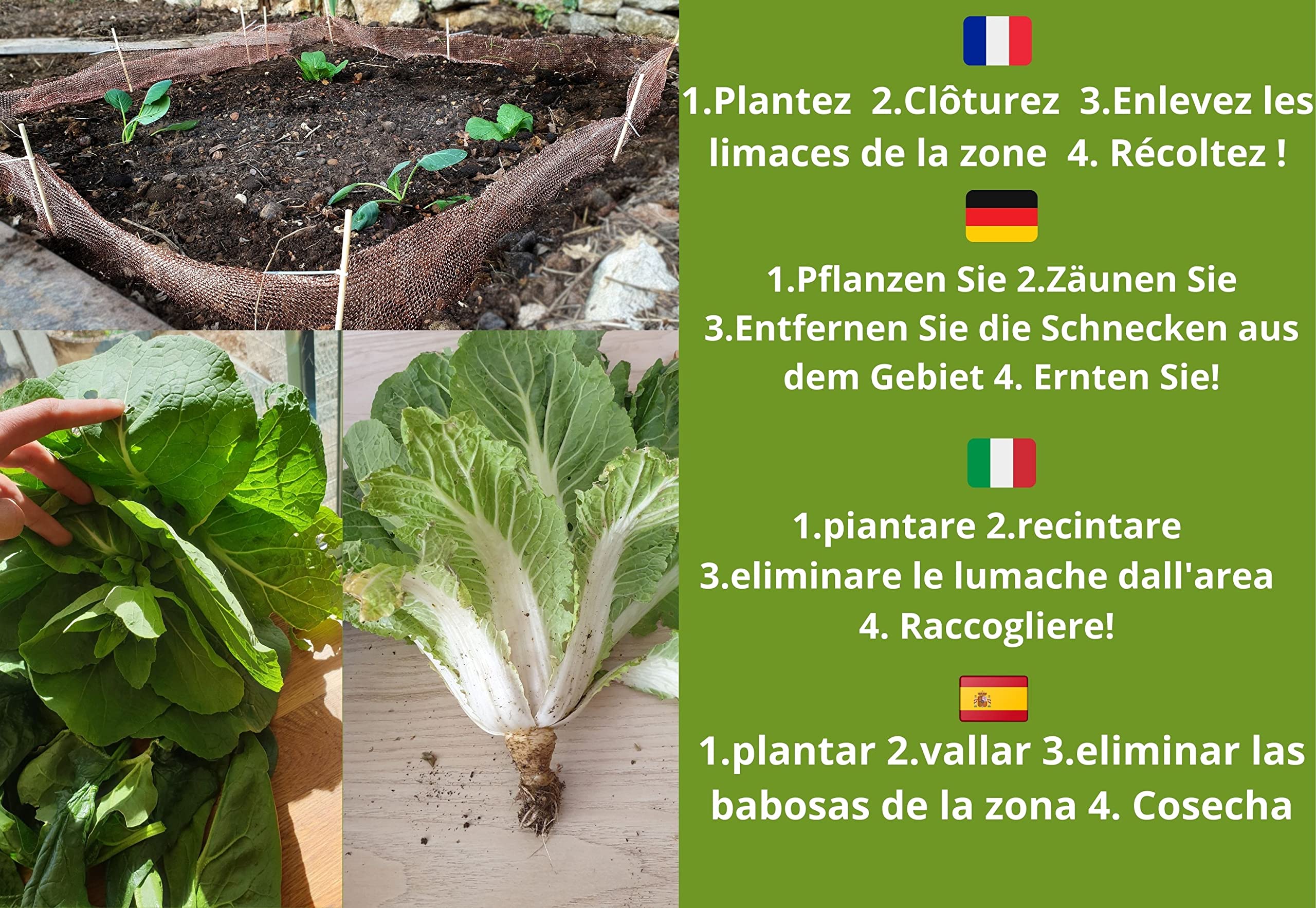 Springday Filet Anti limaces et escargots cuivre (Fil Plat 2.0) - Répulsif Naturel 10m x 15cm - Barrière Double Mailles avec 20 piquets Bambou & ebook - Protection Potager Permaculture