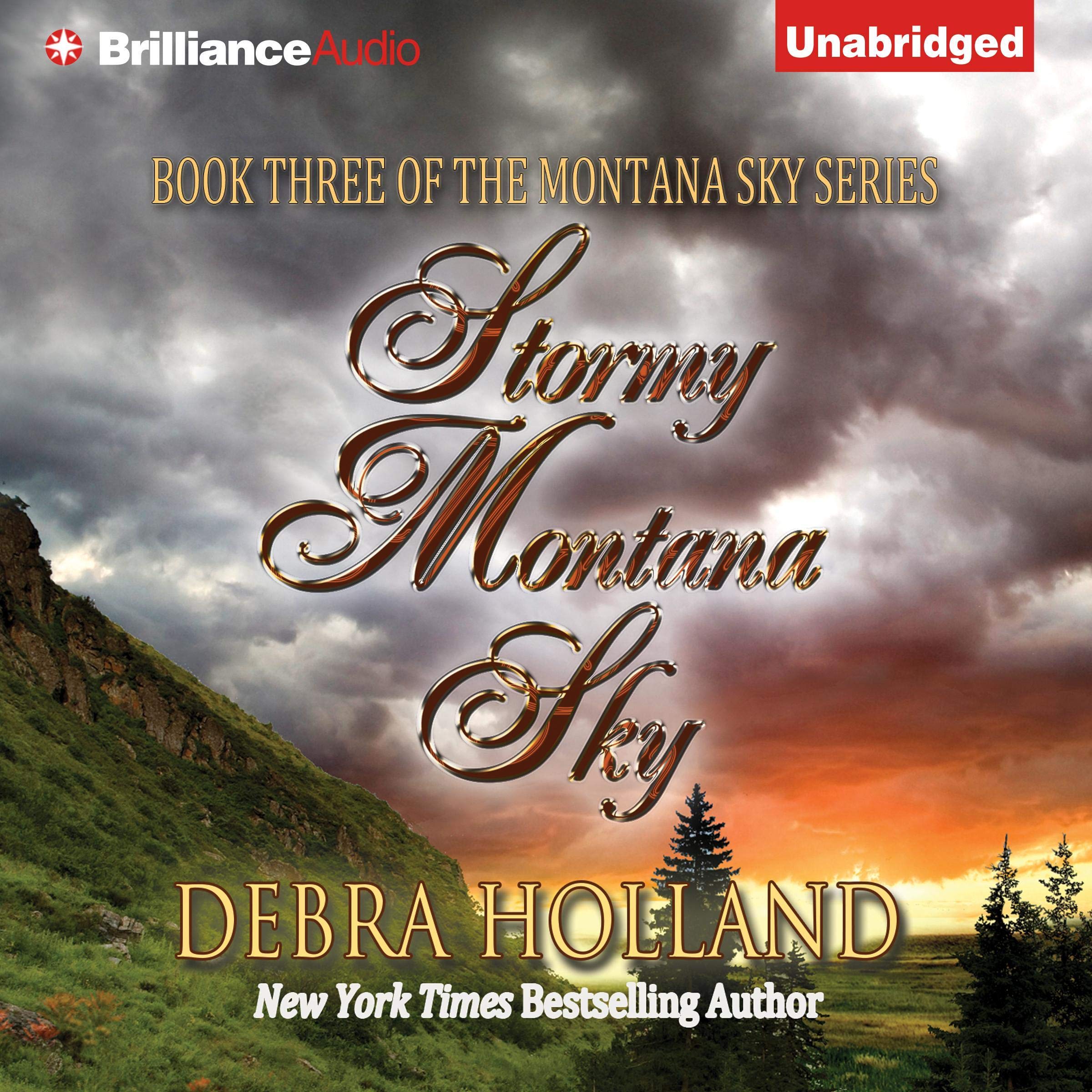 Cover art for Stormy Montana Sky