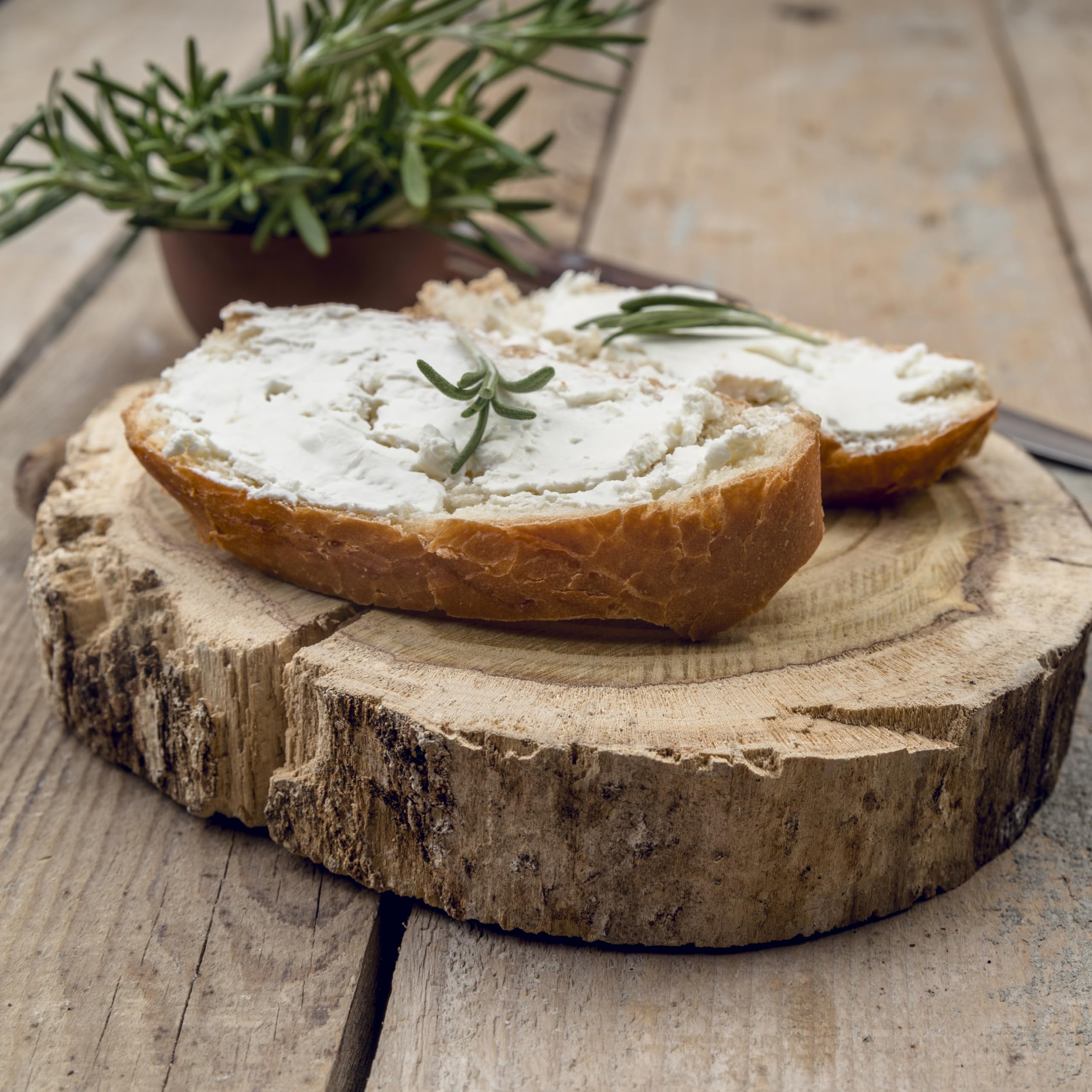 Borgunto® SOMMERTRÜFFEL-MAYONNAISE 36x90g – 3% Tuber Aestivum Vitt • Glutenfrei, ohne Konservierungsstoffe und Farbstoffe