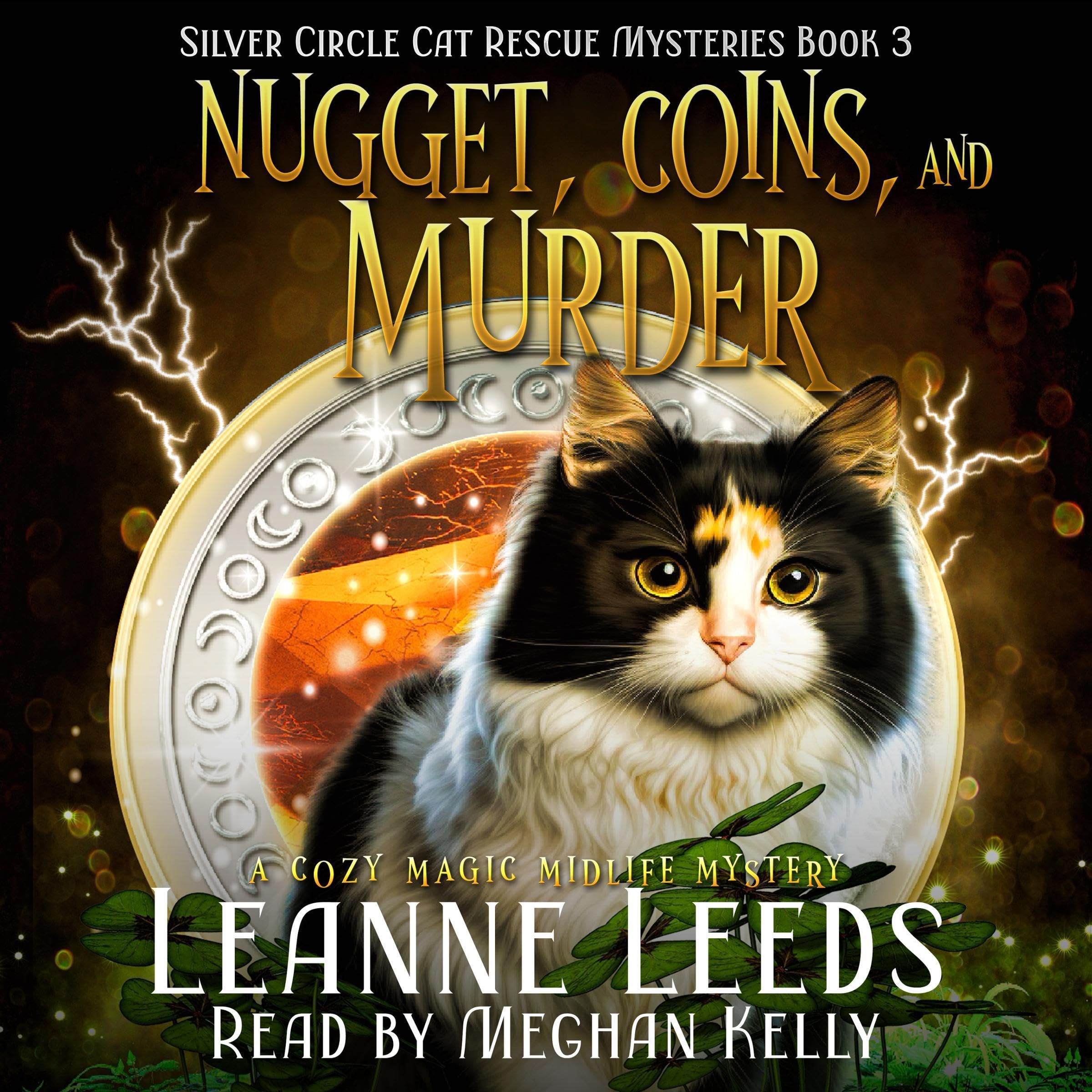 Cover art for Nugget, Coins, and Murder