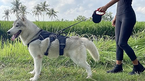Miniatura 8 de Tuff Pupper Correa retráctil resistente para perro, correa de perro de 16 pies con costuras reflectantes para seguridad nocturna, bloqueo y