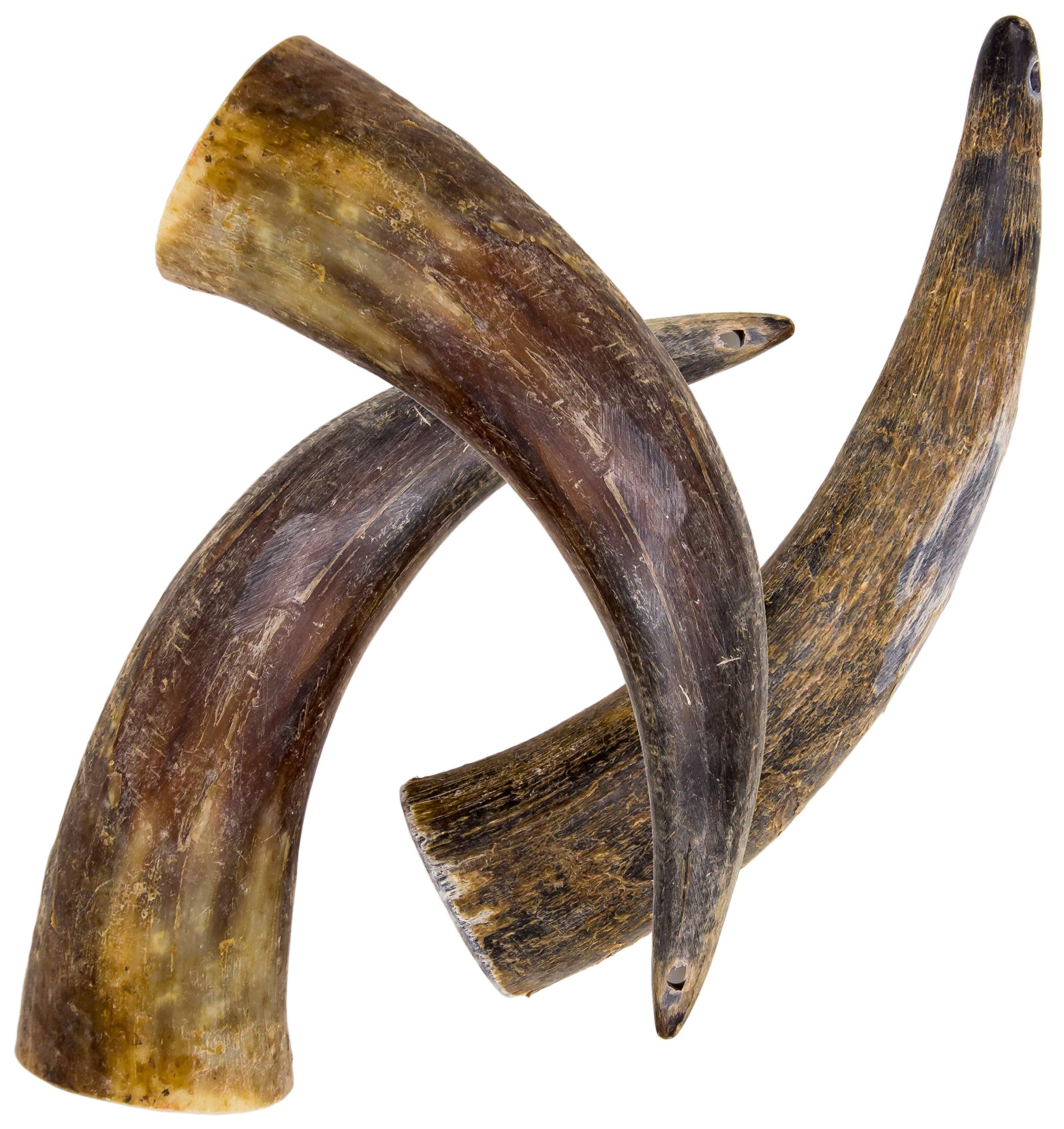 Are Cow Horns Safe For Dogs