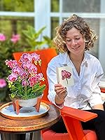 Vista 9 de Freshcut Paper Tarjetas de felicitación desplegables, Oasis de orquídeas, tarjeta de felicitación 3D desplegable de ramo de flores en tamaño natural