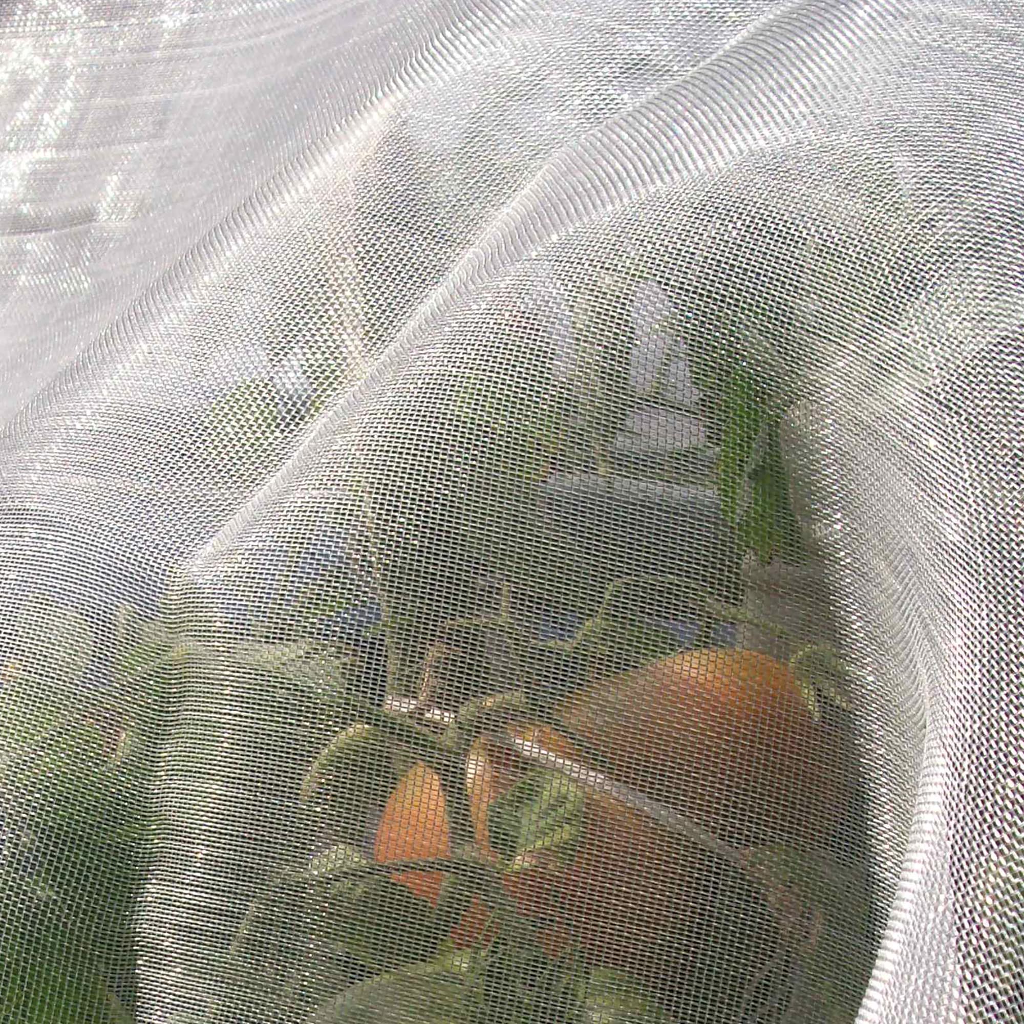 TENAX Microfender 2,00x5 m Neutral, Insektenschutznetz und Blattlausschutz, Schützt Früchte und Kulturen vor Blattläusen