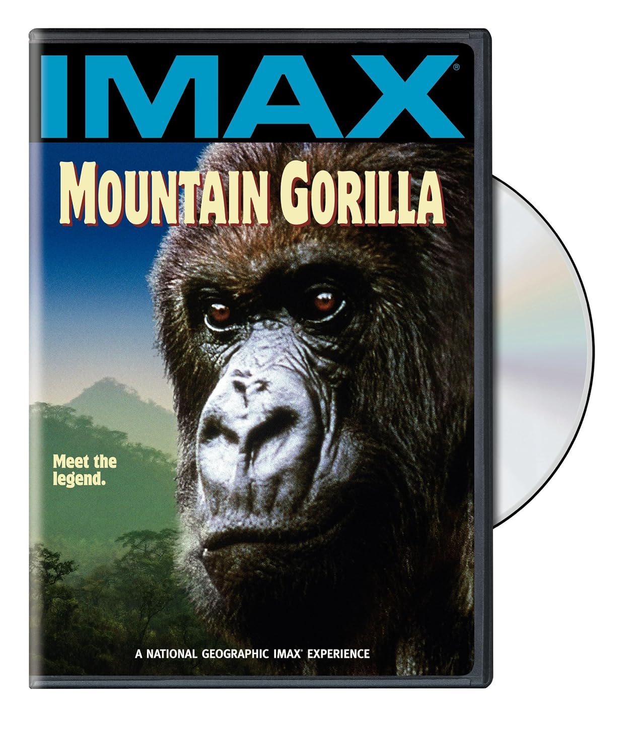 Mountain Gorilla