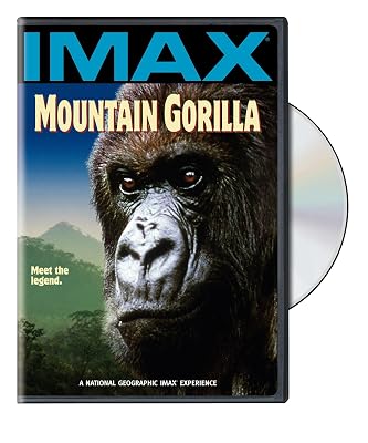 Mountain Gorilla