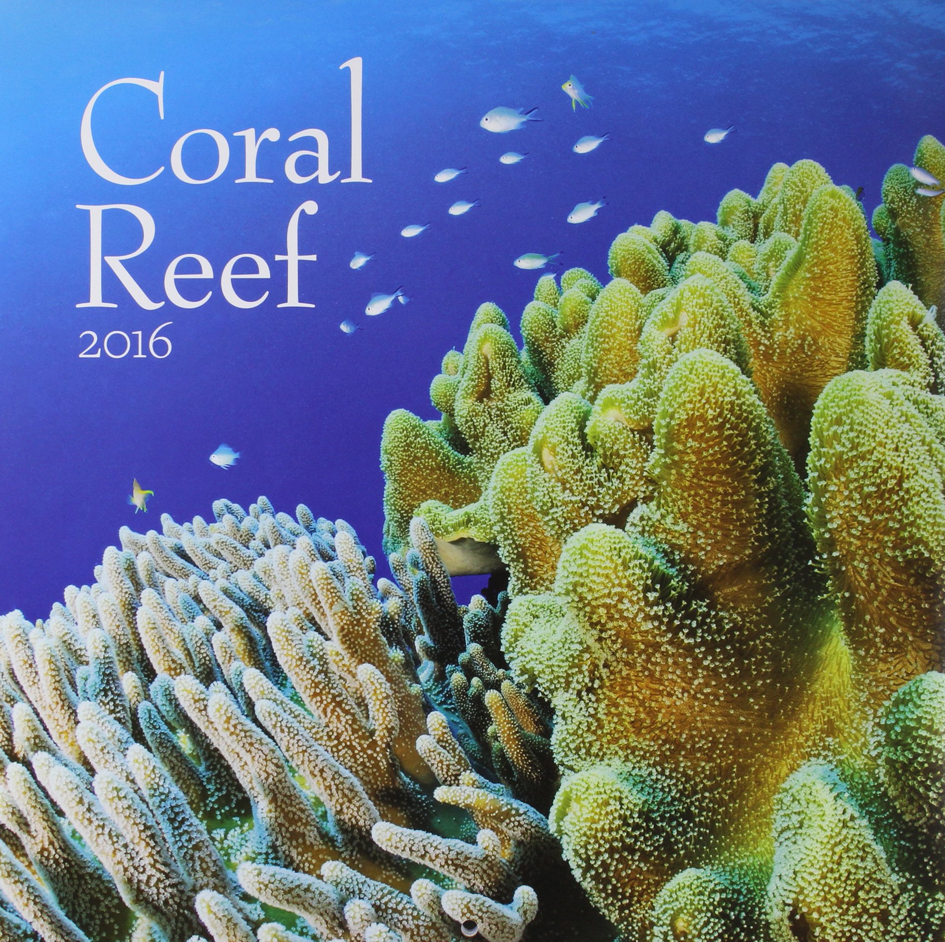 Buy Coral Reef 2016 Calendar — BookShops.in